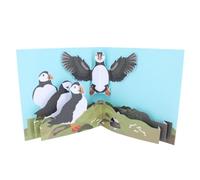 2ToTango 3D Pop Up Card Puffins Greeting Card Any Occasion - Adult Range - By 2ToTango - Folded, 3D Pop Out, Envelope Included, Keepsake, Post-Friendly, Nature, Bird, Birthdays, New Job, Paper Art