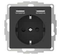 2USB inChargePRO USB AA Socket 12 W 2.4 A Anthracite