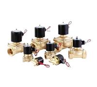 2W Solenoid Valve 1/8'' 1/4'' 1/2'' 2W025 2W200 2W50 Electric Brass Pneumatic Valve Normally Closed for Water(2W-200-20,220V AC)