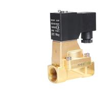 2W150-15/2W200-20/2W250-25 Solenoid Switch Water Valve Pilot Normally Closed Fluid Control Valve(2W250-25-B DC24V)