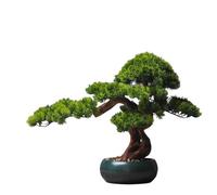 2WFYJNITP Faux Simulation Pine Tree with Green Pot Ornament Home Living Room Potted Plants Desktop for Office Desk