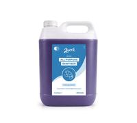 2Work BioTech All Purpose Sanitiser Unscented 5L Pack of 2 2W10426