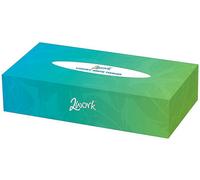 2Work Facial Tissues Box 100 Sheets 2-Ply (Pack Of 36)