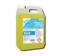 2Work Fragrant Surface Sanitiser 5L - 2W75443