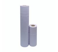 2Work Hyg Roll 2-PLY 10IN Blue PK24