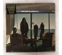 2X 12" LP Vinyl Skunk Anansie Post Orgasmic Chill 25th Anniversary Expanded -X35