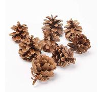 2X 1kg (50) Austriaca Florist Fir Pine Cones Natural