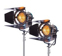 2X 2000W Fresnel Tungsten Halogen Spotlight Lighting Studio Video Light Bulb Di