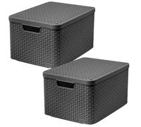 Curver Storage Box with Lid Style L 30L Metallic Silver Household Storage Box