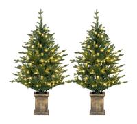 HOMCOM 2 Pcs 4ft Artificial Christmas Tree with Lights, Pot, Realistic Tips in Green HOMCOM Green 4ft