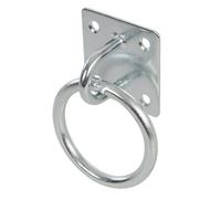 2x 50mm Galvanised Steel Ring on Face Plate - Wire Rope Lashing Cable Loop Mount - Loops
