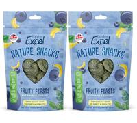 2x 60g Burgess Excel Fruity Feasts Treats for Rabbits and Guinea Pigs - Bundled by GetInStyle Shop