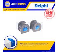 Delphi TD524W Bush