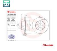 Brake disc BREMBO 08.7300.20 for IVECO DAILY III Van 2.3 2005-2006
