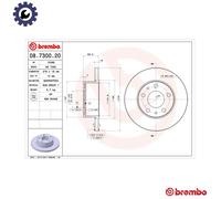 Brake disc BREMBO 08.7300.20 for IVECO DAILY III Van 2.3 2005-2006
