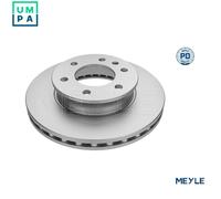 2x BRAKE DISC 083 521 2101/PD FOR VW CRAFTER/30-50/Van/30-35/Bus CKUC 2.0L 4cyl