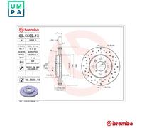 2x Brake disc perforated/vented 09.5509.1X BREMBO for ROVER HONDA LOTUS MG