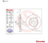 2x BRAKE DISC 09.6843.11 FOR FIAT 175 A3.000 2.0L 5cyl COUPE