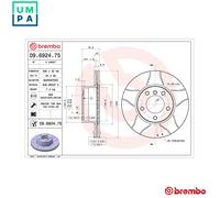 2x BRAKE DISC 09.6924.75 FOR BMW M47D20 2.0L 4cyl 5 E39 M57D25 M51D25 M54B25