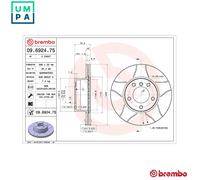2x BRAKE DISC 09.6924.75 FOR BMW M47D20 2.0L 4cyl 5 E39 M57D25 M51D25 M54B25