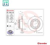 2x BRAKE DISC 09.7263.30 FOR NISSAN CABSTAR/NT400 YD25K3LD-5MI/YD25DDTi 2.5L