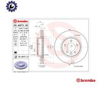 Brembo 09.8873.31 Prime Brake Disc