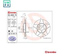 BREMBO 09.A905.75 Brake disc