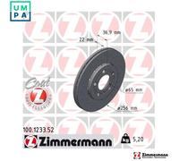 2x BRAKE DISC 100.1233.52 FOR VW CBPA/BHP/AQY/AZG/BBW/AZJ/AEG/BER/CFEA 2.0L