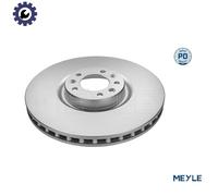 2x BRAKE DISC 11-15 521 0039/PD FOR PEUGEOT 407 508/SW/Van CITROEN C5/III C6 407