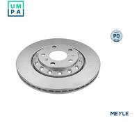 2x BRAKE DISC 115 523 0033/PD FOR VW AUDI A8L BRK/BKLCEXB/CARA/CARB/CEXA 3.0L A8