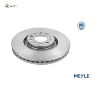 Front Brake Disc Audi Seat:A4,A6,EXEO,ALLROAD 8D0615301K 8D0615301M 8E0615301AD