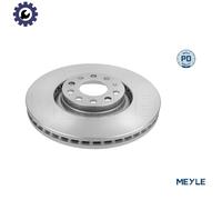 Front Brake Disc Audi Seat:A4,A6,EXEO,ALLROAD 8D0615301K 8D0615301M 8E0615301AD