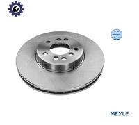 Front Brake Disc BMW:E53,E83,X5,X3 34116766036 34116765457 34116794304