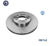 Front Brake Disc BMW:E53,E83,X5,X3 34116766036 34116765457 34116794304