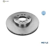 2x BRAKE DISC 315 521 0019 FOR BMW X3/SAV/E83 X5/E53 M57D30 M54B30 3.0L M57D30