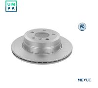 2x BRAKE DISC 315 523 0024/PD FOR BMW X5/SAV/E70/F15/F85 X6/SAC/F16/F86/E71