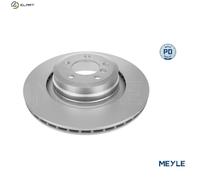 2x BRAKE DISC 315 523 0056/PD FOR BMW 7/E65/E66 M67D44 4.4L 8cyl 7 E65, E66, E67