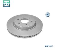 2x BRAKE DISC 36-83 521 0046/PD FOR RENAULT NISSAN NP300/NAVARA/Pickup 2.3L 4cyl