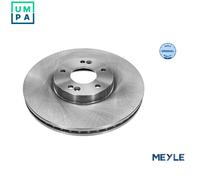 Front Brake Disc for Hyundai:SANTA FE II 2 51712-2B700