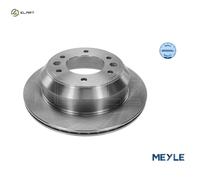 Rear Brake Disc for Hyundai:H-1 58411-4H300