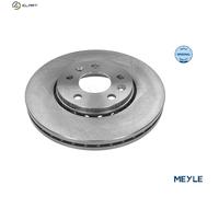 Front Brake Disc for Opel Vauxhall Renault:VIVARO,TRAFIC III 3 4422285 4422285