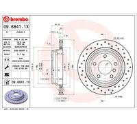 BREMBO 09.6841.1X Brake disc