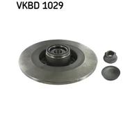 2x Brake disc solid VKBD 1029 SKF for RENAULT SCÉNIC III GRAND SCÉNIC III