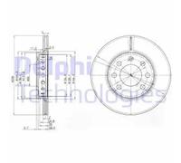 Delphi Pair of Brake Discs BG3658