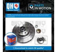 2x Brake Discs Pair Solid Rear 290mm BDC5984 Quinton Hazell Set 432020016R New