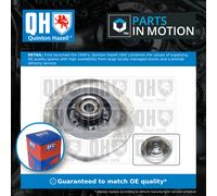 2x Brake Discs Pair Solid Rear 290mm BDC6167 Quinton Hazell Set 432027306R New