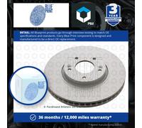 Pagid Brake Discs 104850468