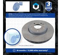 2x Brake Discs Pair Vented Front 295mm ADN143183 Blue Print Set 40206HG00B New