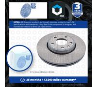 Blue Print Brake Disc (x2) - ADZ94317