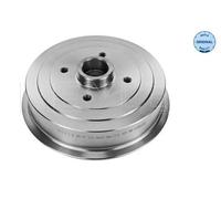 2x New Brake Drum for DAEWOO:LANOS,ESPERO,ESPERO Sedan,LANOS / SENS 96193771